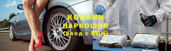 apvp Алексин