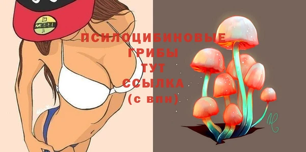 apvp Алексин