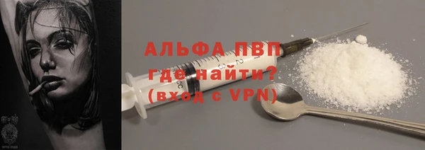 стафф Елизово