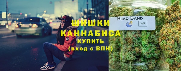 ГАЛЛЮЦИНОГЕННЫЕ ГРИБЫ Елабуга