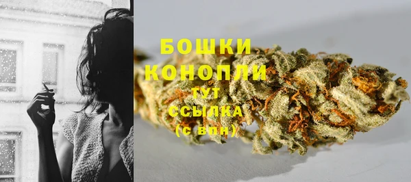 стафф Елизово